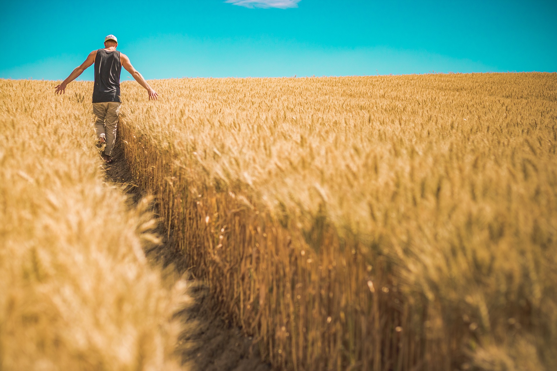 Criminal Code Amendment (Agricultural Protection) Bill 2019: Increased protection for farmers