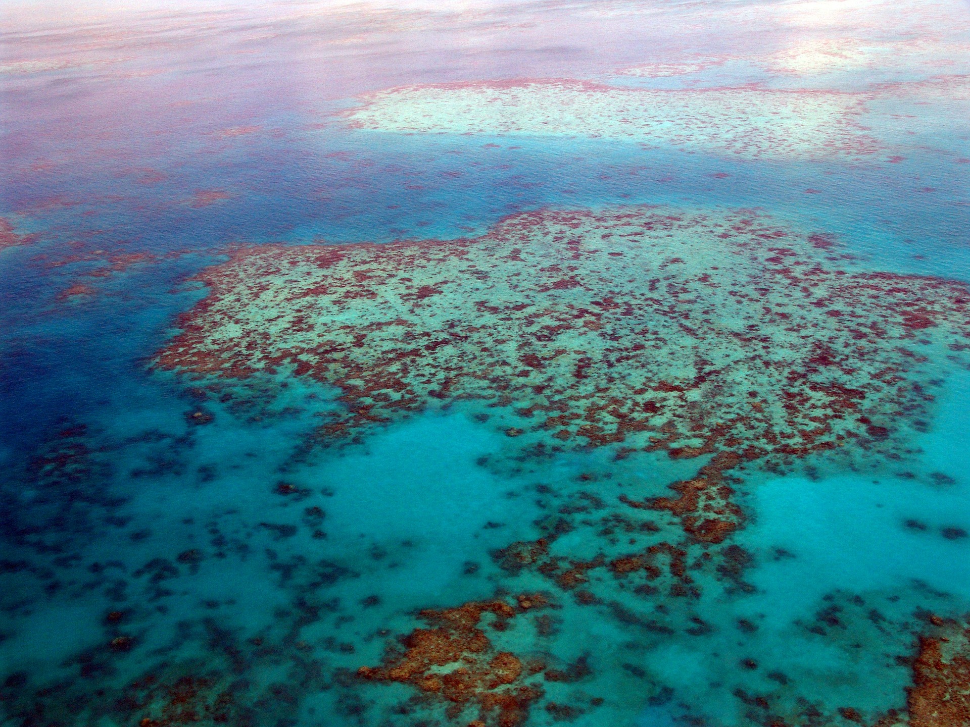 New reef laws still in the pipeline