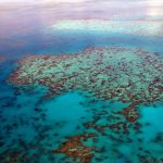 New reef laws still in the pipeline