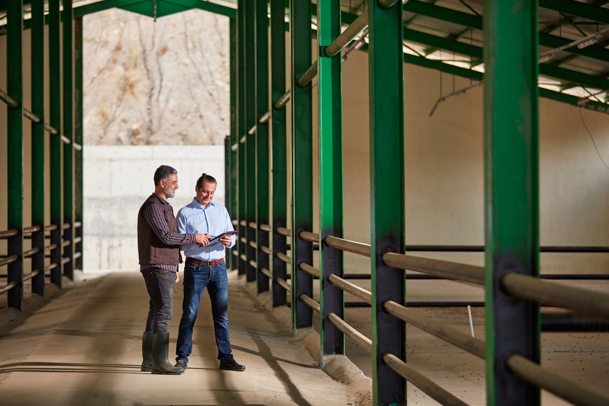 QRIDA appoints Thynne + Macartney lawyers as Carbon Farming Advice Rebate advisors