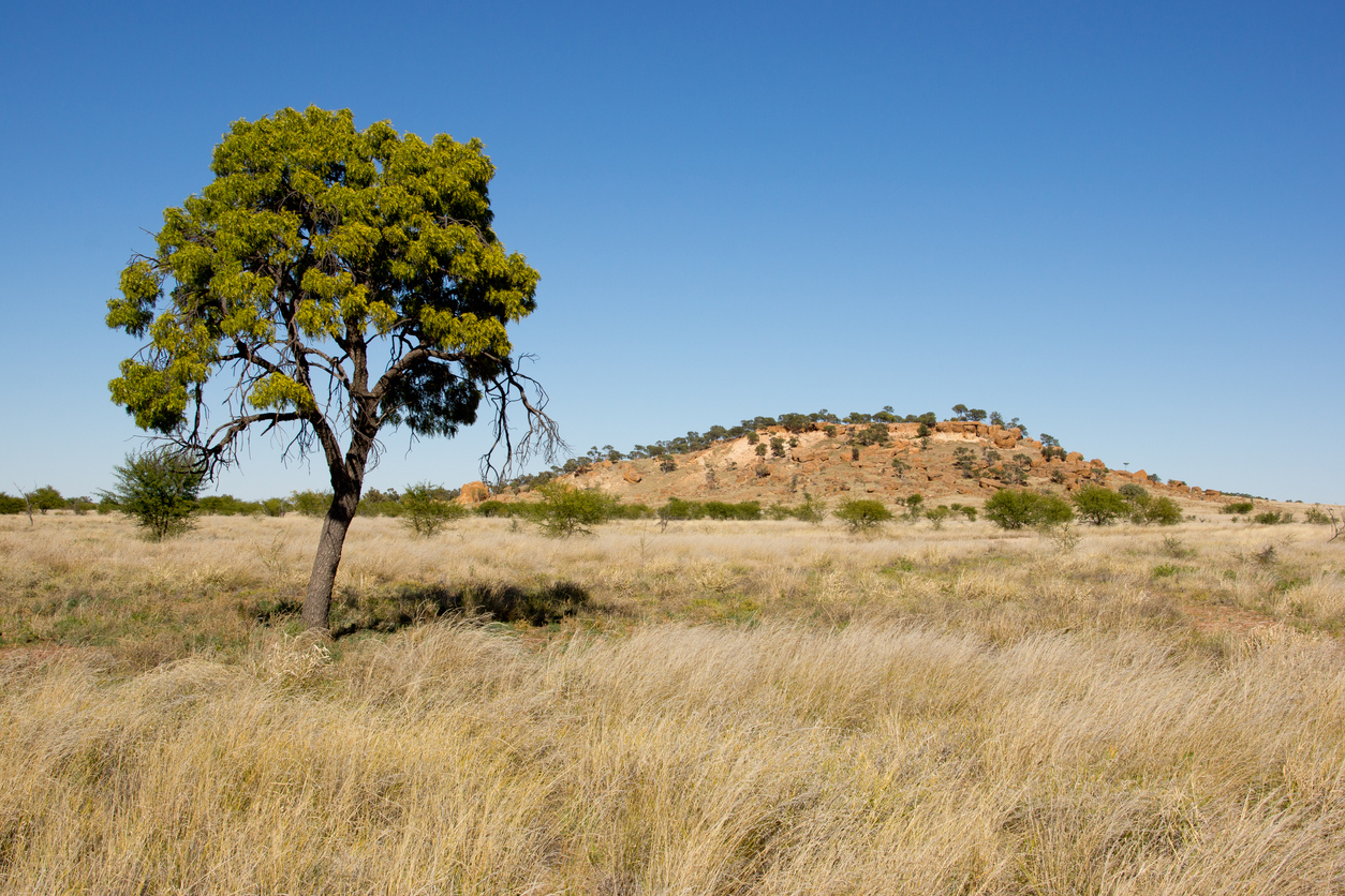 Having a connection with the land — Native title claim (#2) by the Jangga People