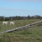 Registration of foreign ownership of agricultural land