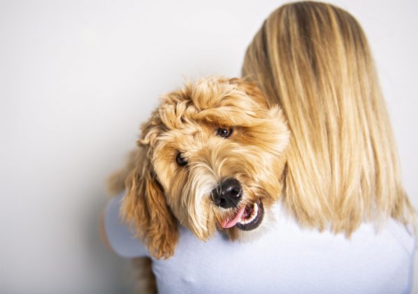 woman-hugging-a-labradoodle