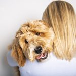 Shared pet parenting: What happens when a relationship breaks down?