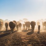 Public liability insurance: Top 5 questions landholders affected by gas or mining projects should ask