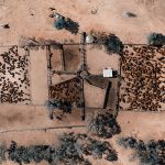 Court between a mineral and a hard place