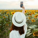 Sunflower selfies cause biosecurity risk