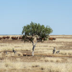 Five mistakes to avoid when negotiating a renewable energy project