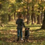 Companion animals and family separation