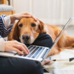“Interruptions to focus”: a valid reason to refuse Work from Home request