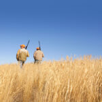 Queensland firearms reforms: more safety catches